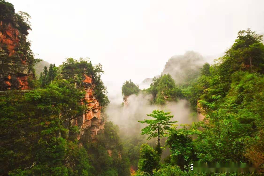 泸州黄荆老林风景区图片