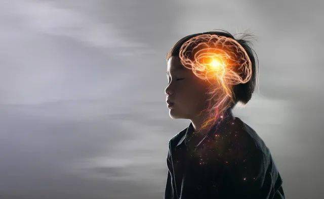 聪明的人大脑结构会不一样吗