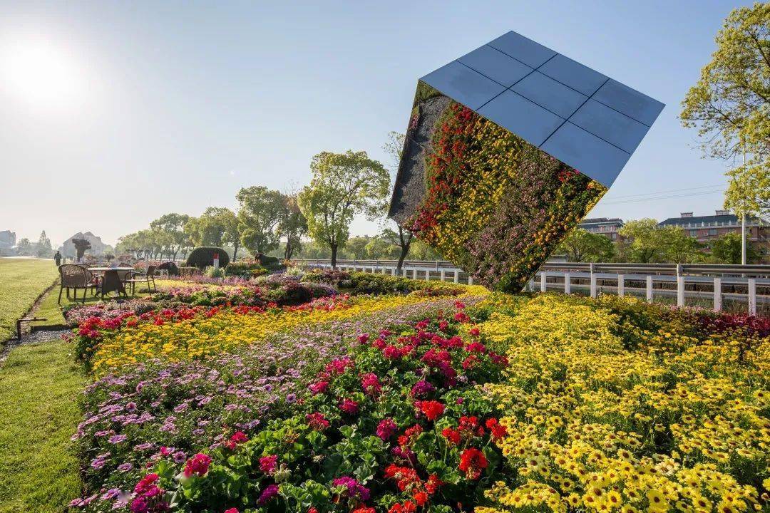 2021海宁国际花卉节图片