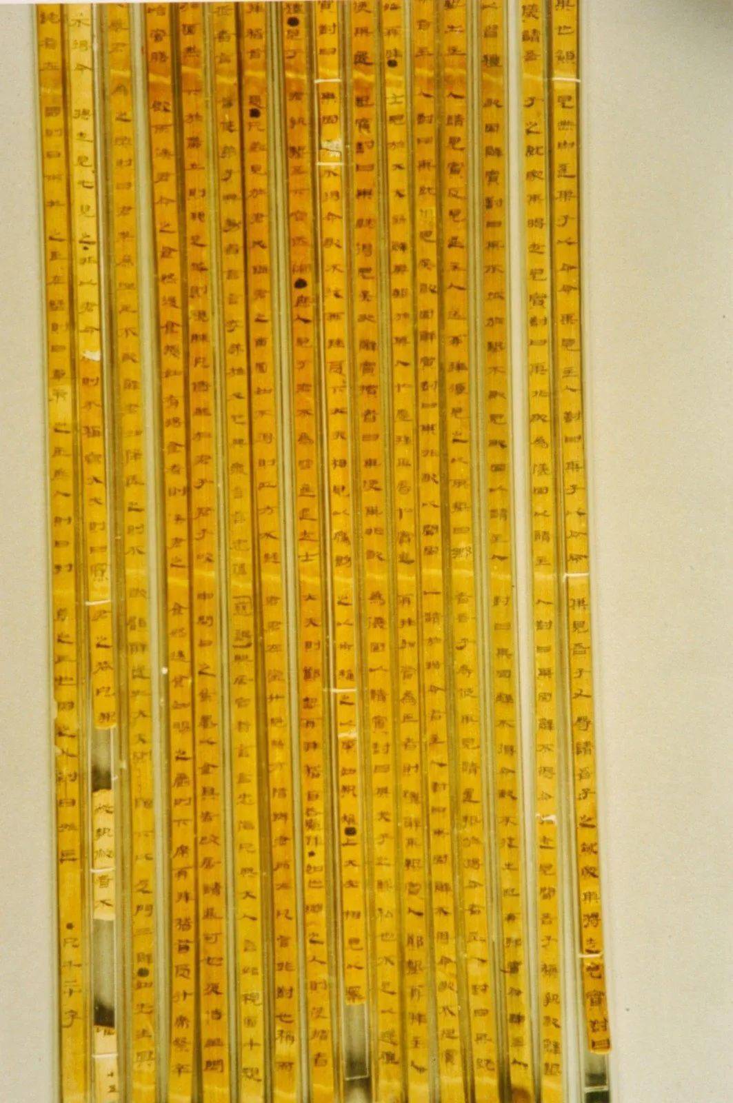 沿黄珍宝抢先看|甘肃"丝路至宝"速览