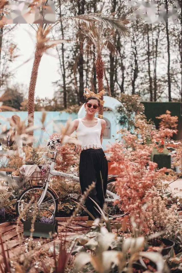 天猫花园生活节把私人花园搬进杭州植物园 动态 园艺