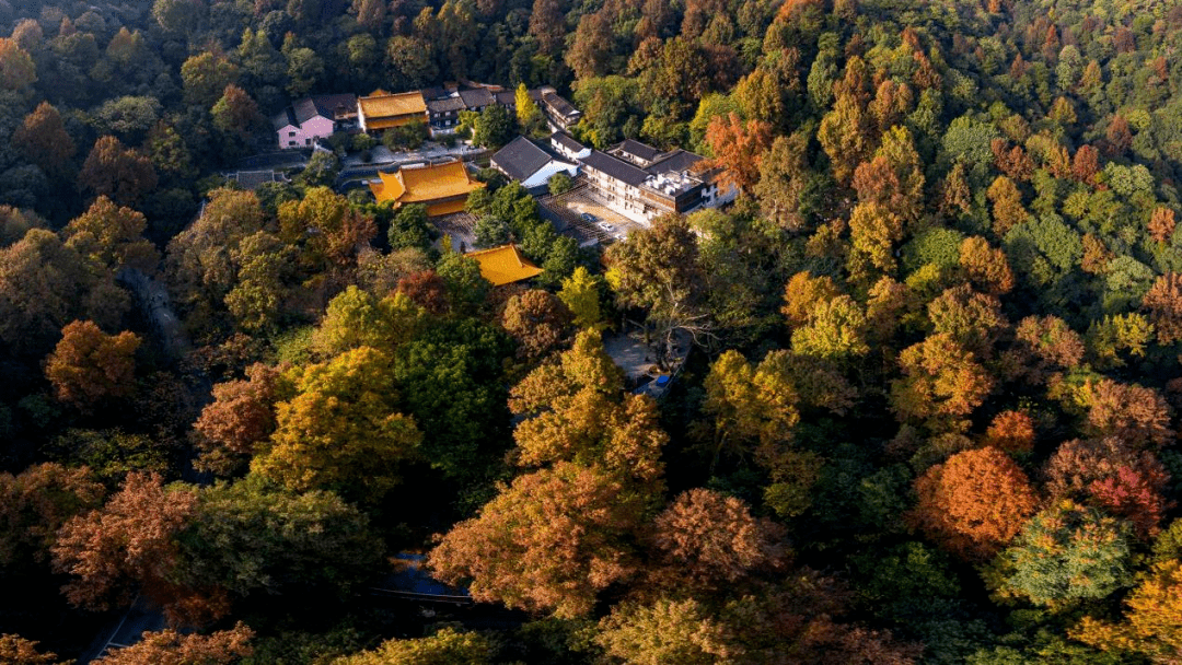 天啦噜!岳麓山发红包了!