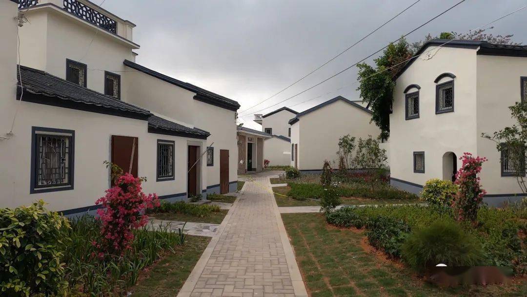 惊艳| 一村一落皆是景,美丽红草入画来!_汕尾