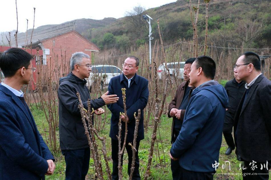 赵四辈调研张家川县域经济发展