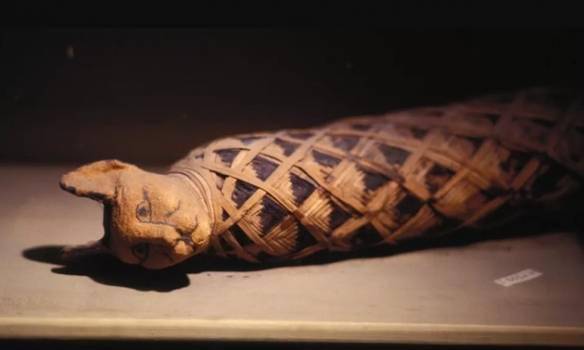 古埃及人将猫制成木乃伊建造世界上第一个宠物墓地