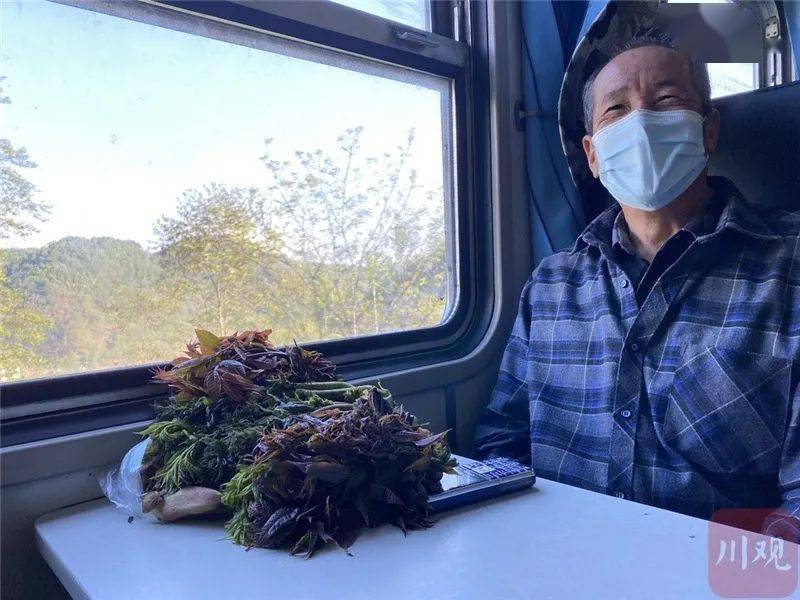 烟火人间小短剧免费观看，探索生活的多彩瞬间，烟火人间小短剧免费观看，探索多彩生活瞬间