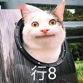 acc4b33037c74b8fbf1bcc5d7fc5c057.jpeg