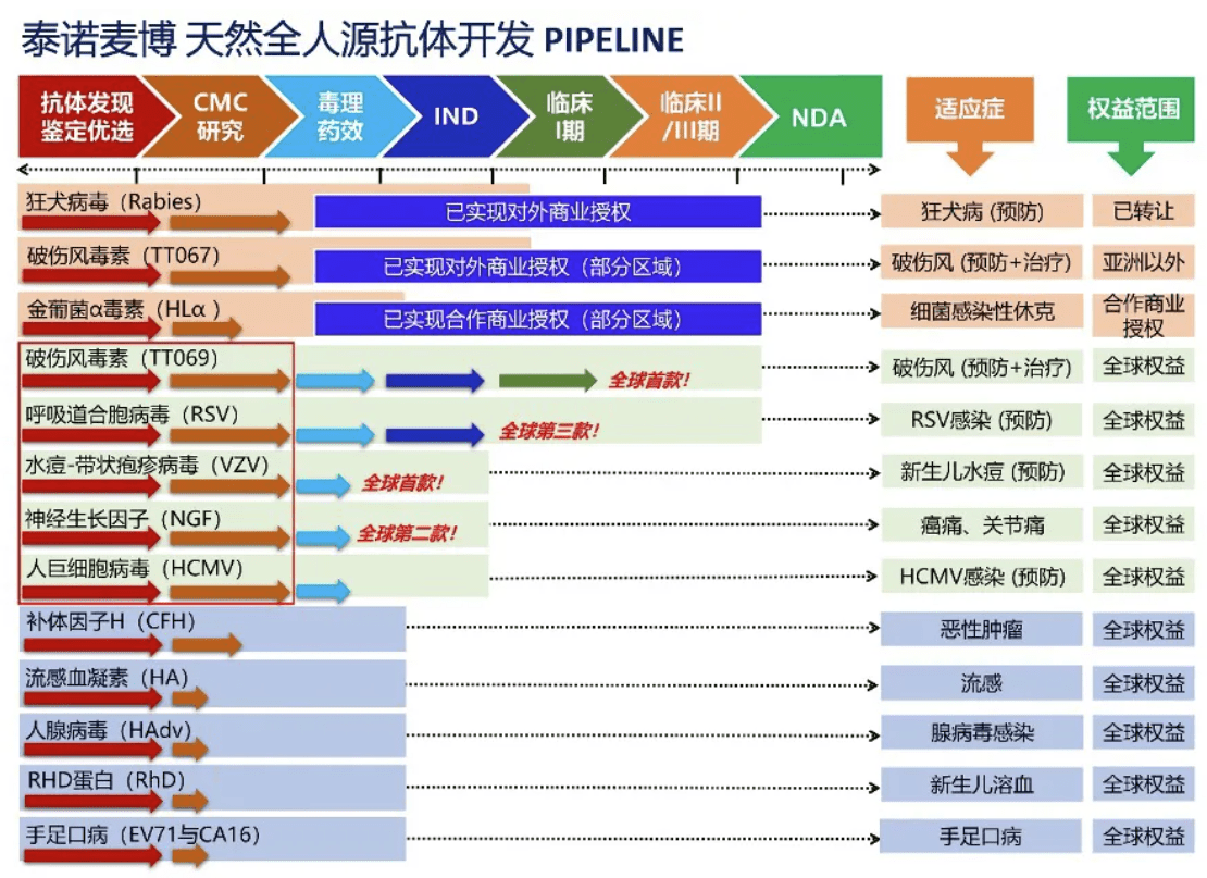 开发天然全人源单克隆抗体新药,「泰诺麦博」完成4.5亿元人民币A轮融资_药物