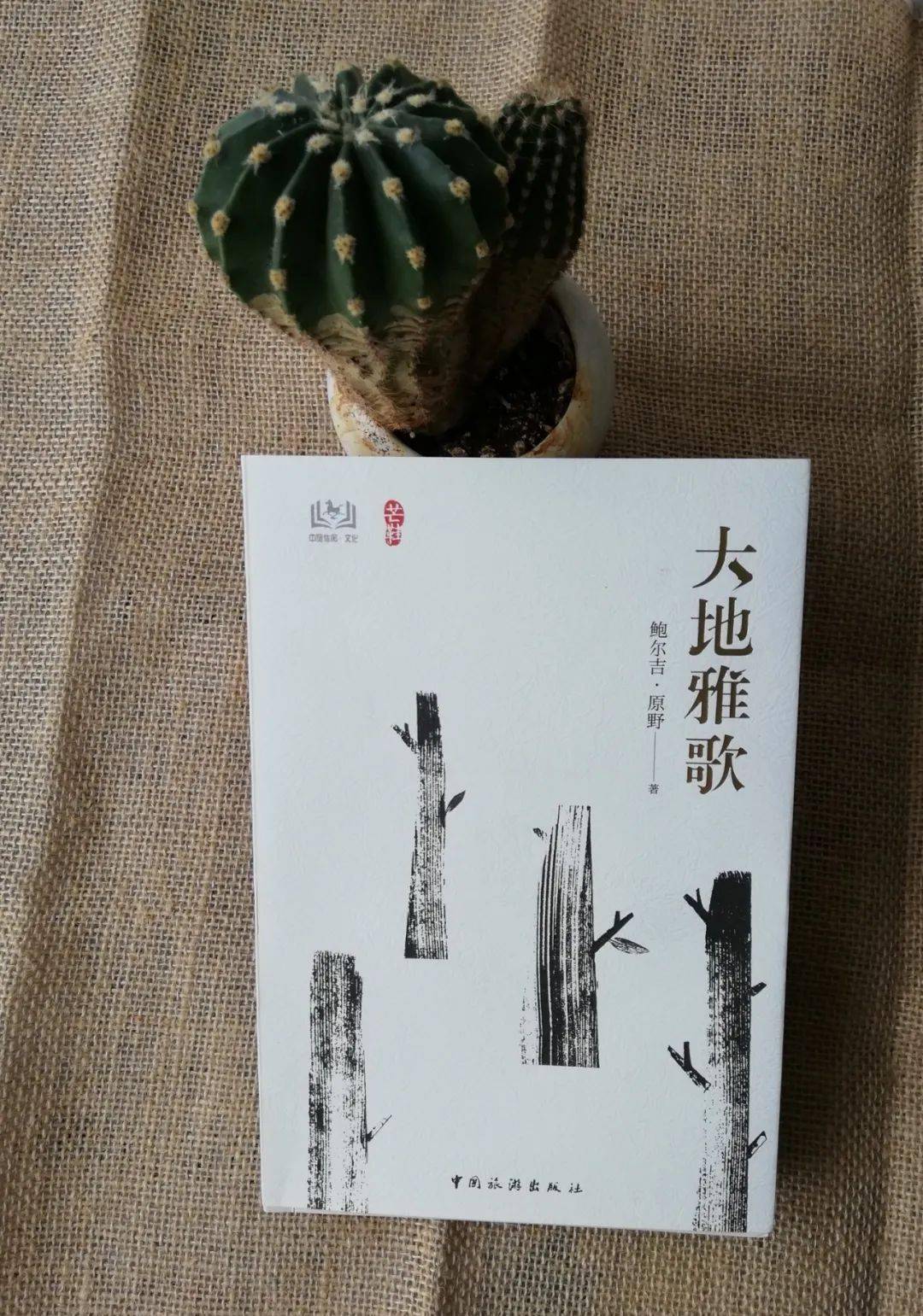 为什么我要推荐你读大地雅歌