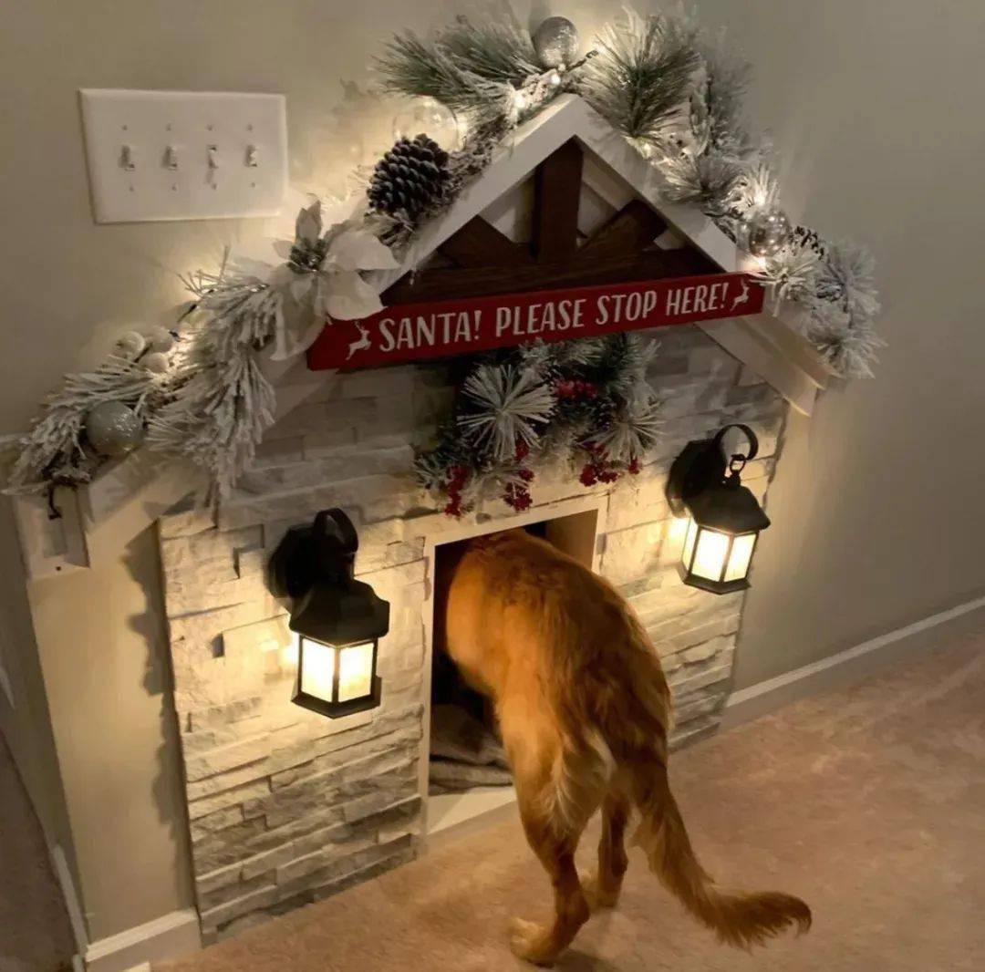 每逢各种节日,铲屎官也会帮teddy装饰屋子,这精致的小房间,也是让不少