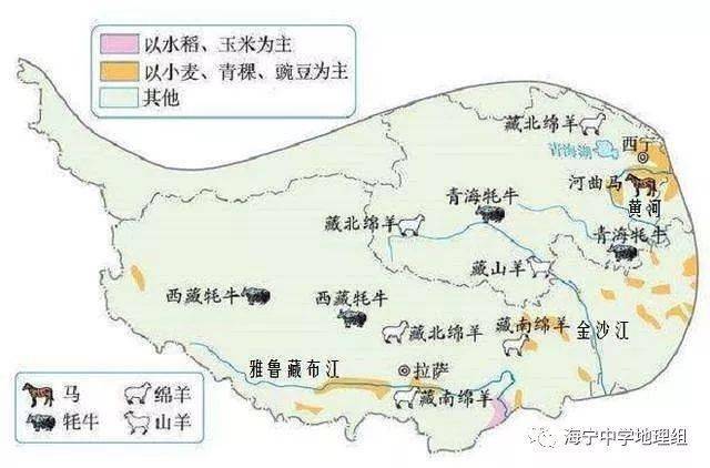 灌溉农业技术_绿洲灌溉农业分布_河谷农业与绿洲农业