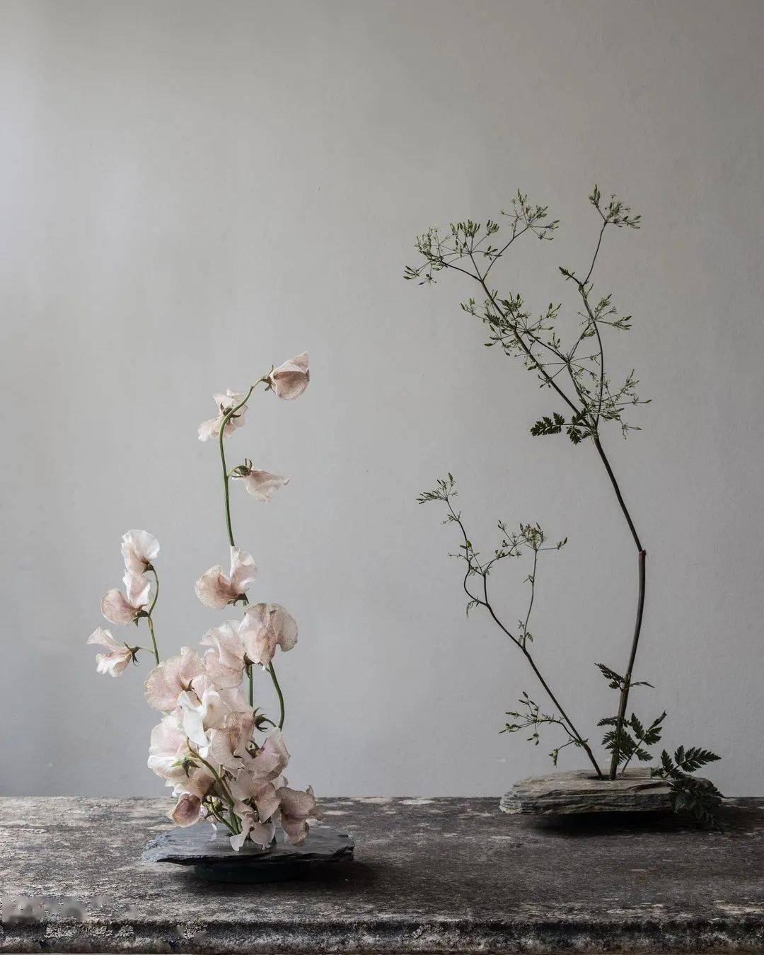 她捡枯枝插花一丁点花泥都不用竟能让东西方审美大和谐