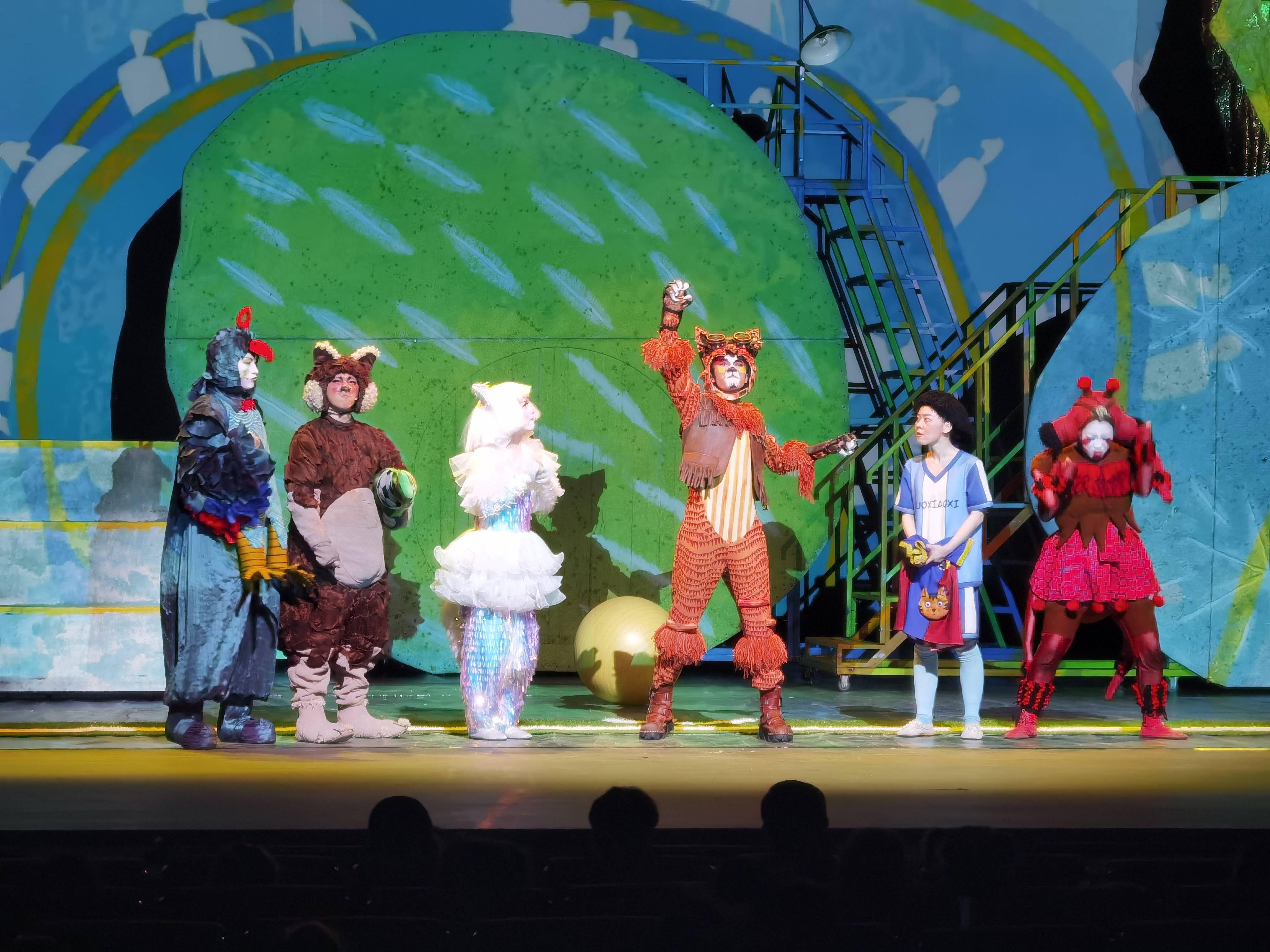 小记者探班体育场的流浪猫王演出现场揭秘舞台剧背后故事