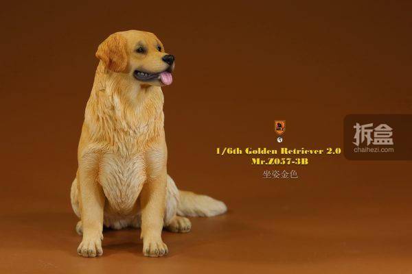 mrz金毛犬2016仿真动物模型迷你gk摆件雕像兵人配件