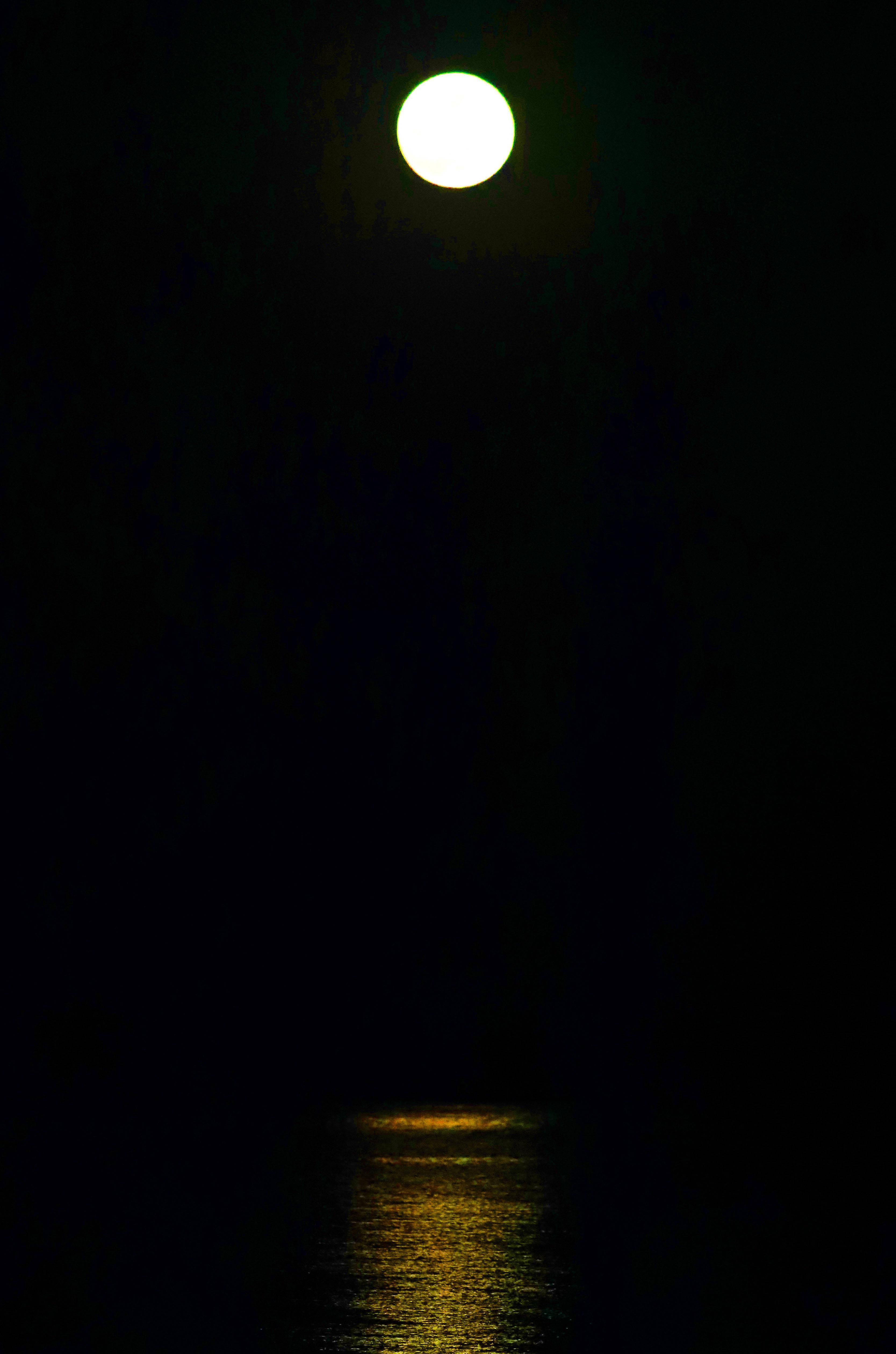 海港区|【组图】秦皇岛：“超级月亮”现身