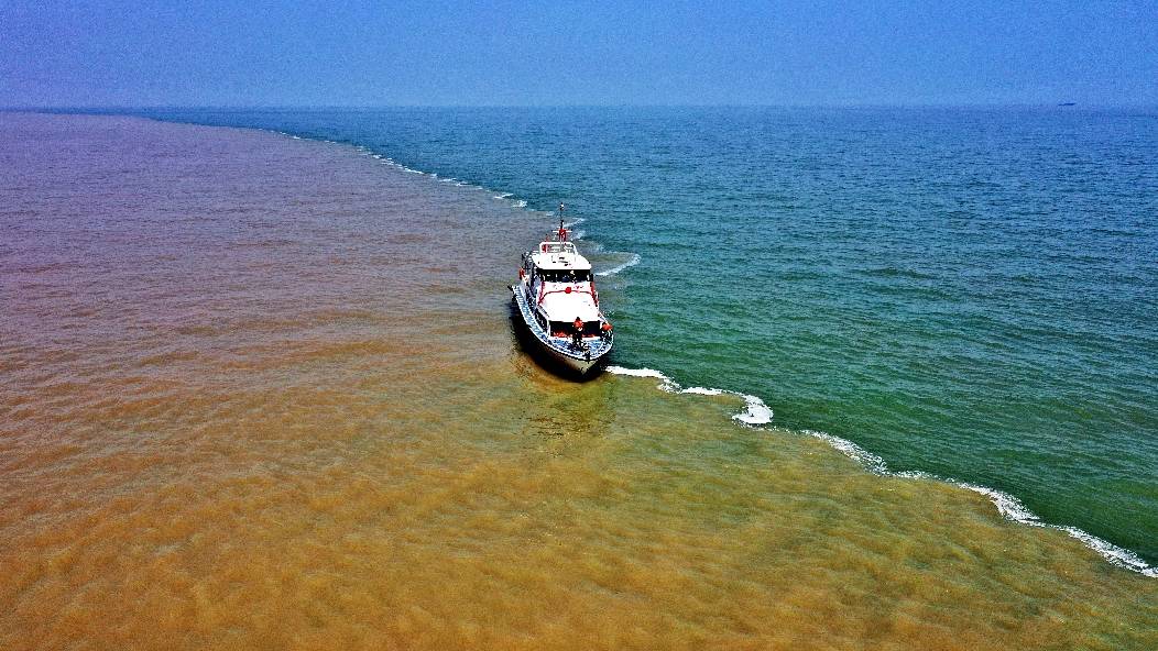 滨州黄河入海口图片