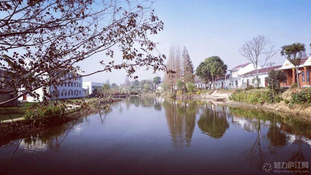 2020年11月份,应同大镇相关部门和领导的邀请,魅力庐江网,庐江县手机