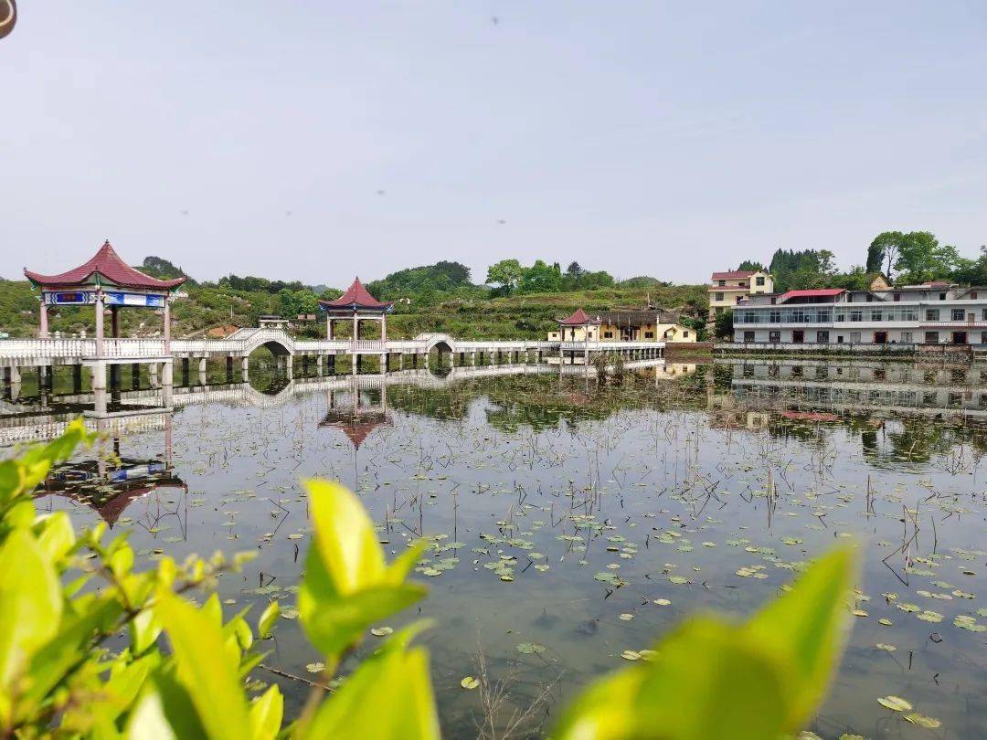 袁州区乡镇GDp_袁州区这个乡镇向你报告 春节...