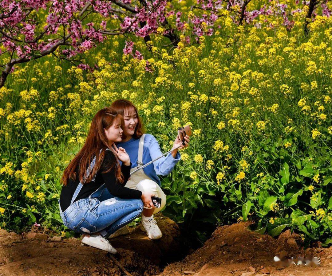 这样拍照片(17)|和您一起留住春的气息_春花