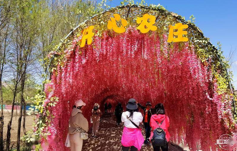 永登越国开心农场第二届风筝文化艺术节启幕