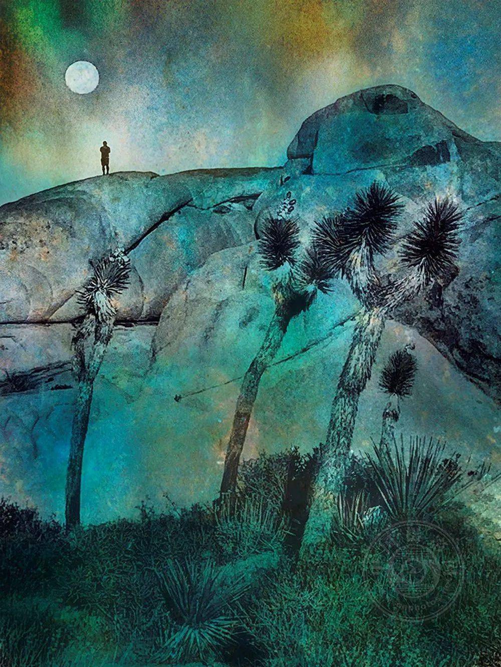 2020第十届手机摄影奖视觉创意组获奖作品赏析