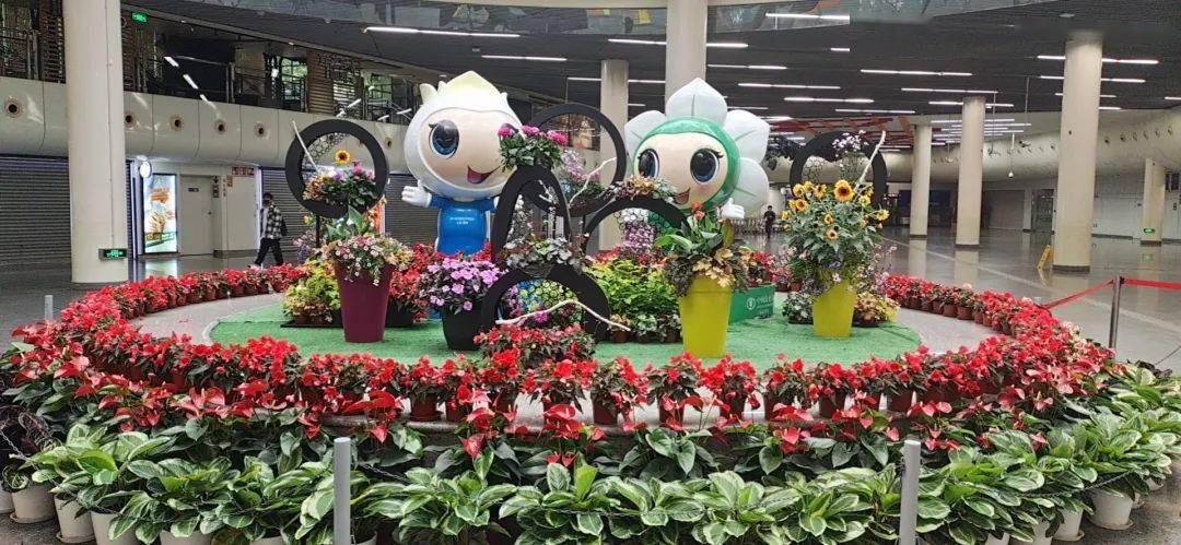 圆圆,梦梦置身花丛,与大家相会地铁人民广场站中央展台也顺利完成布花