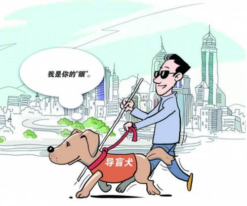 善待导盲犬是文明社会的"标配"