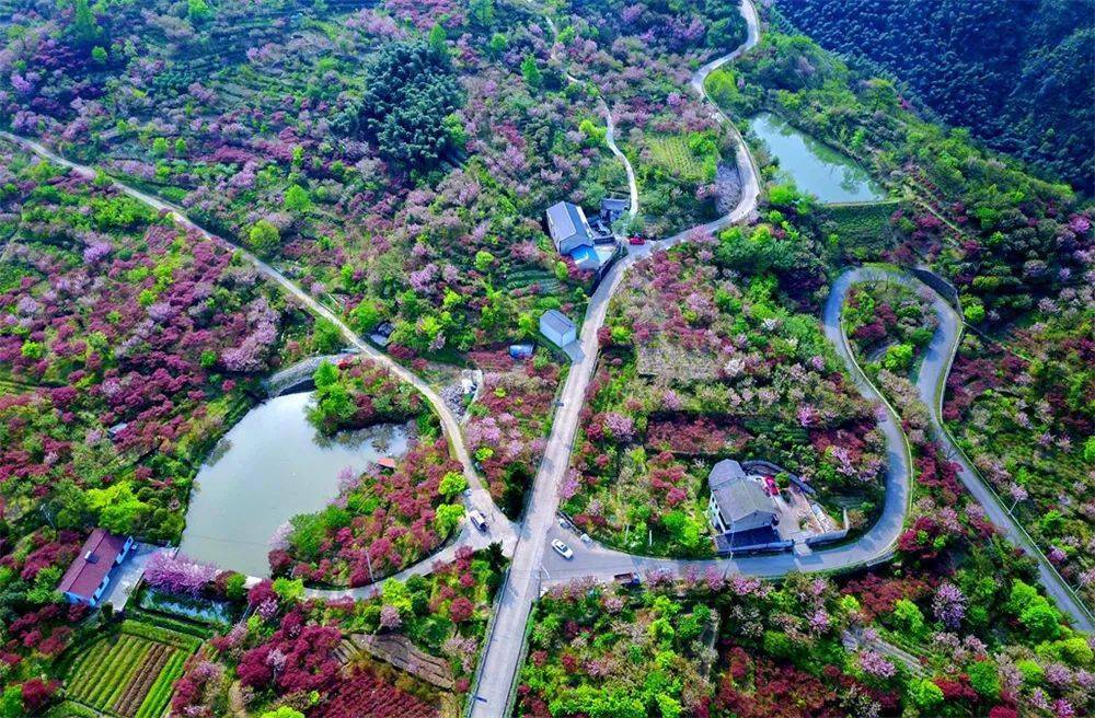 余姚篇:一轴引领,两心辐射,五片区错位发展——大岚镇创建省美丽城镇