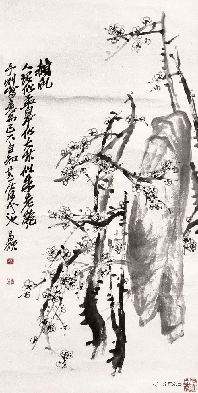 吴昌硕笔下的墨梅