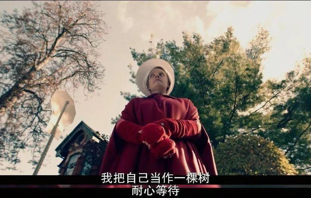 既恐怖又暴虐的C度剧,终于来了!