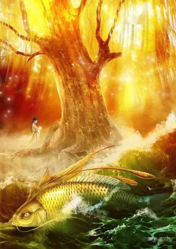 大爆料阴鸦的女儿竟然是她