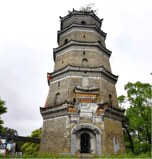 邵阳市文旅广体局一行赴洞口调研指导革命文物保护工作