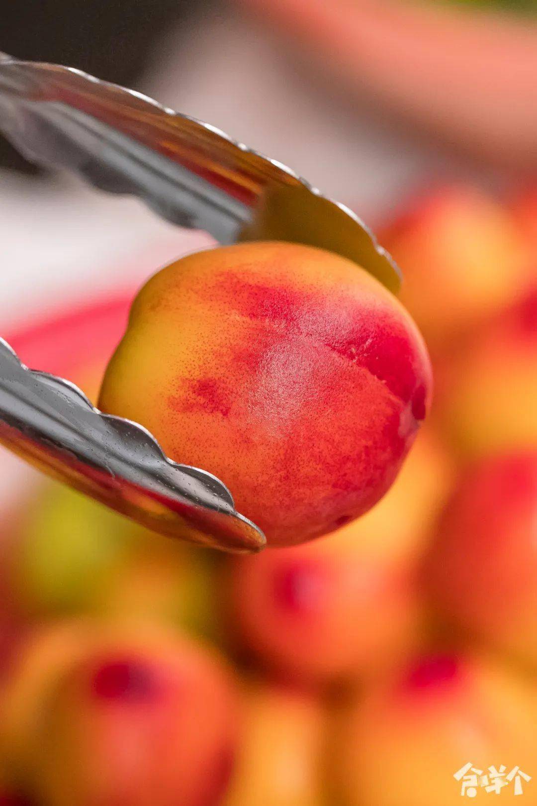 揭阳人春日里的"奢侈品"_桃子