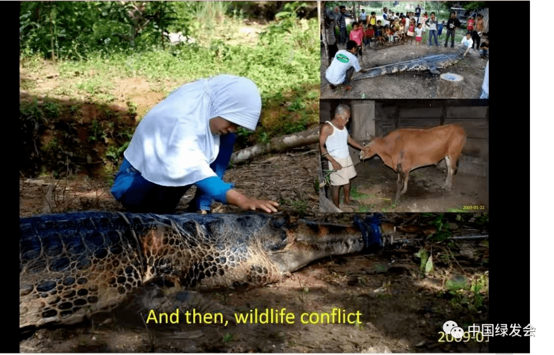 绿会国际部代表参加印尼梅桑加特湿地生物多样性研讨会|反思人兽冲突与