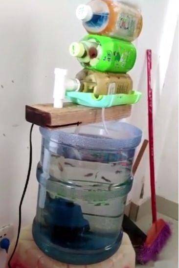 泡沫箱养鱼给那些找借口的啪啪打脸!