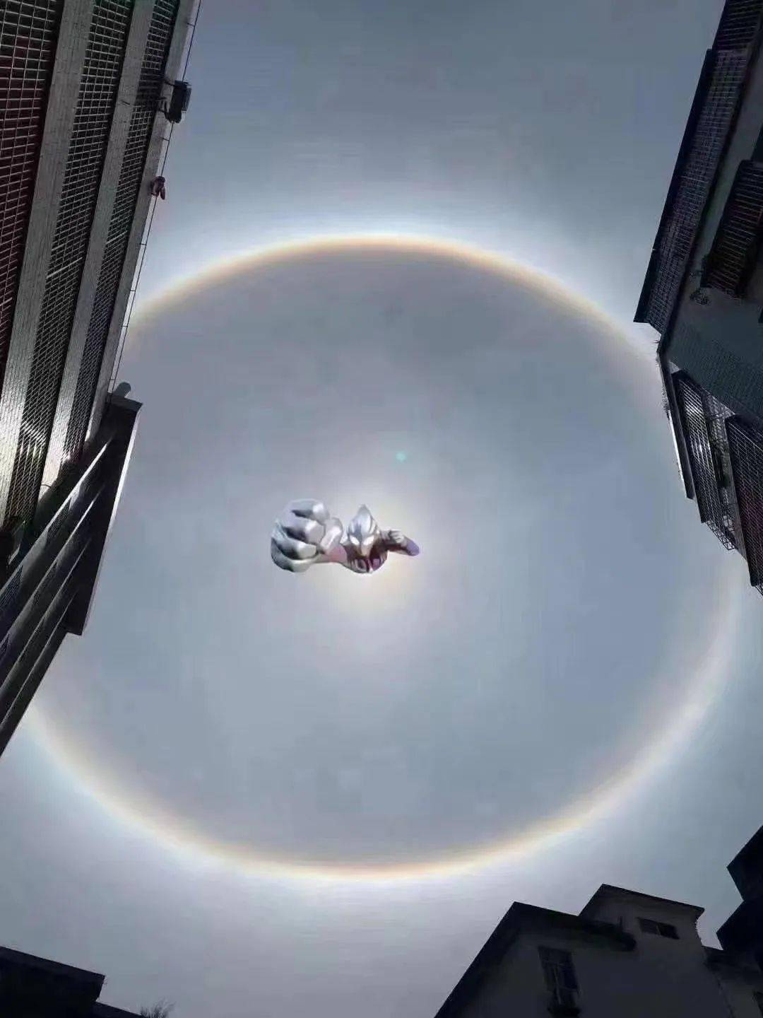 斗门上空现一个巨大光圈!不少街坊也亲眼目睹拍照…_太阳