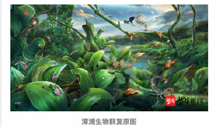 琥珀|南京专家发现最丰富琥珀生物群
