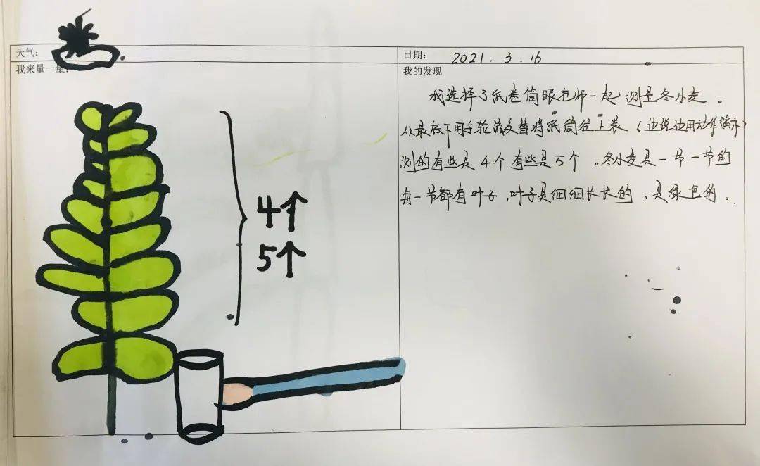 春日小菜园_测量