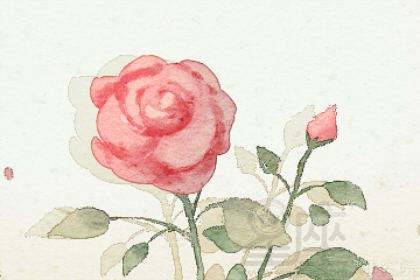 梦境之谜，解析梦见在长满玫瑰花的水里游泳的深层含义