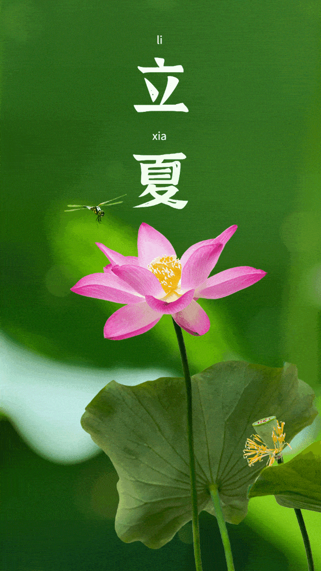 立夏山清水秀风光旖旎来河北这11个旅行地邂逅一夏吧