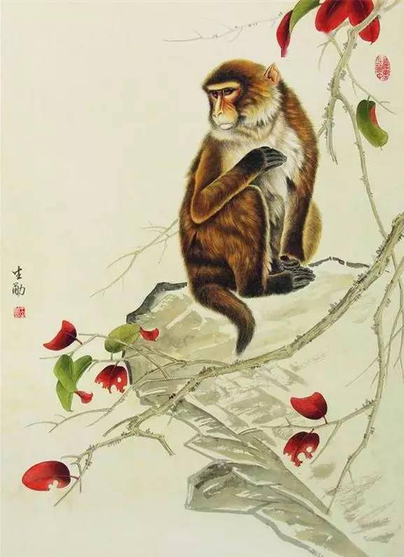 中国工笔画猴子大全图片