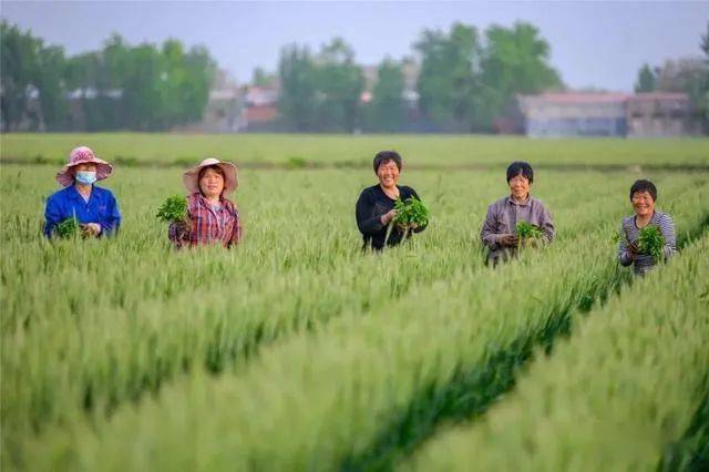 临颍五一假期这里的景美人更美