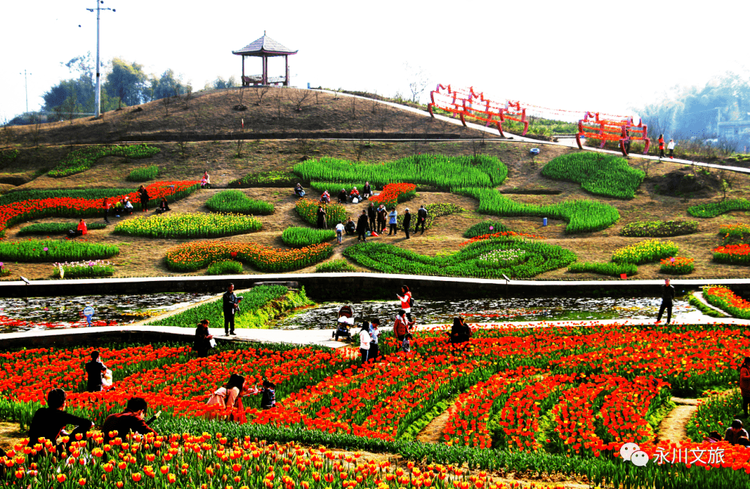 传来好消息永川846亿元