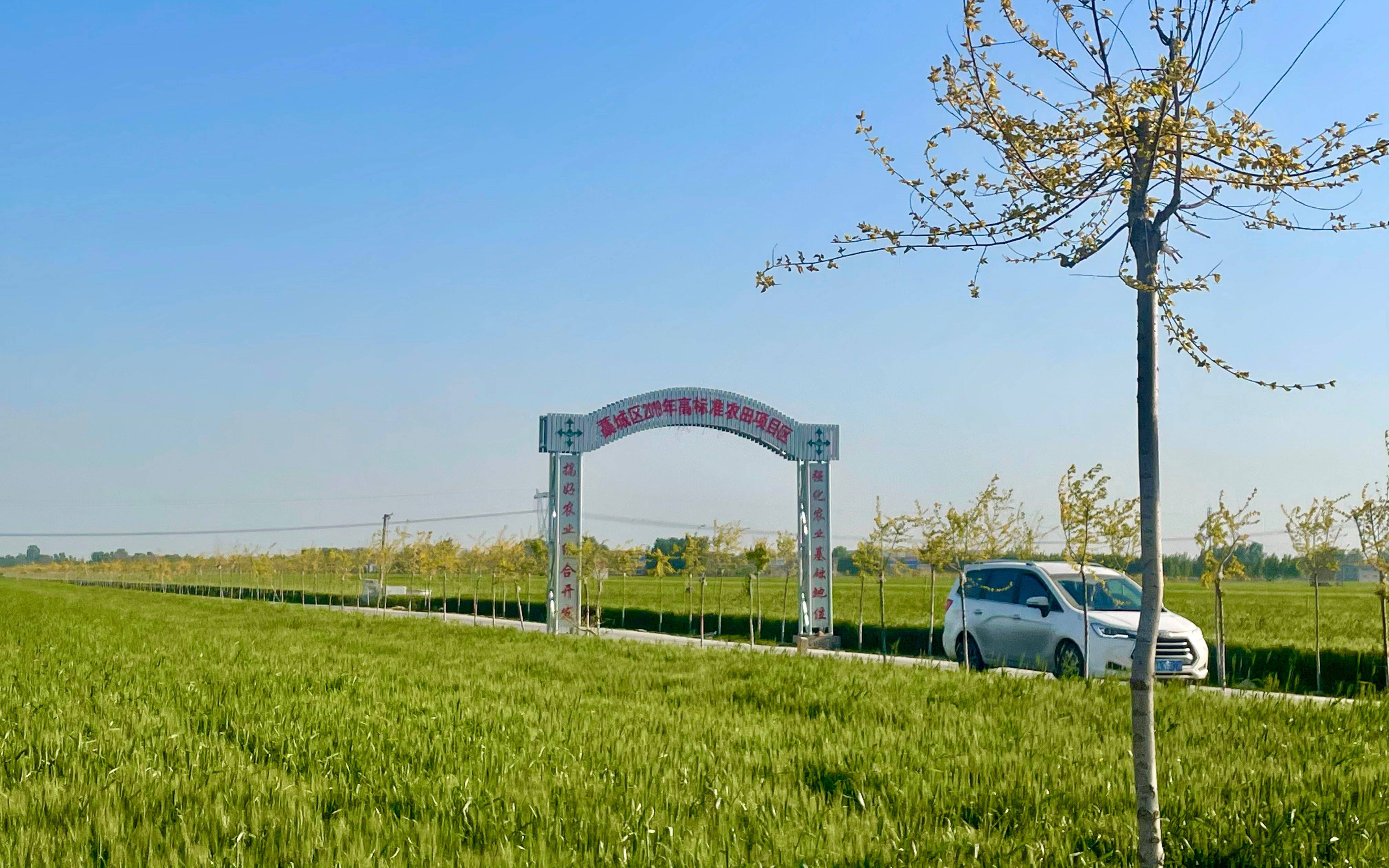 立夏时节 河北藁城麦子浇完二水等丰收