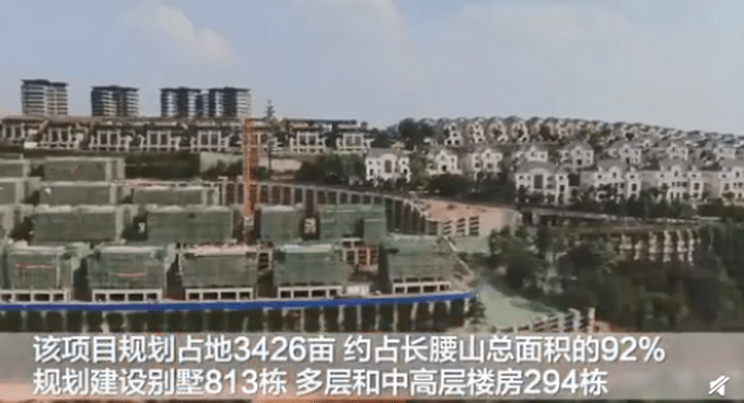 中央纪委网站曝光滇池环湖开发乱象:树枝插入浅层表土,冒充植树_网友