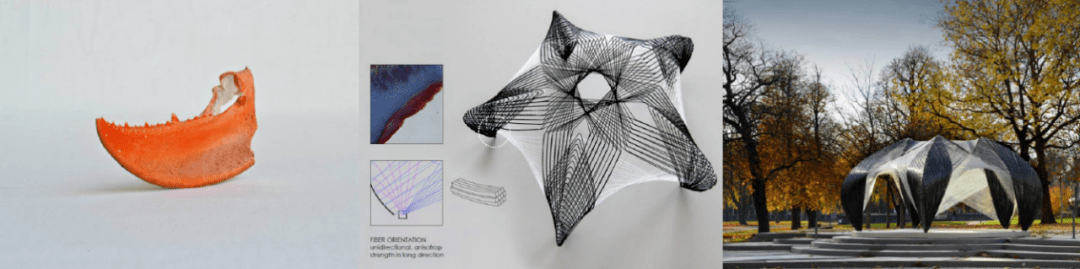 理论研究丨壳体建筑微结构仿生的桁膜复合结构原型研究