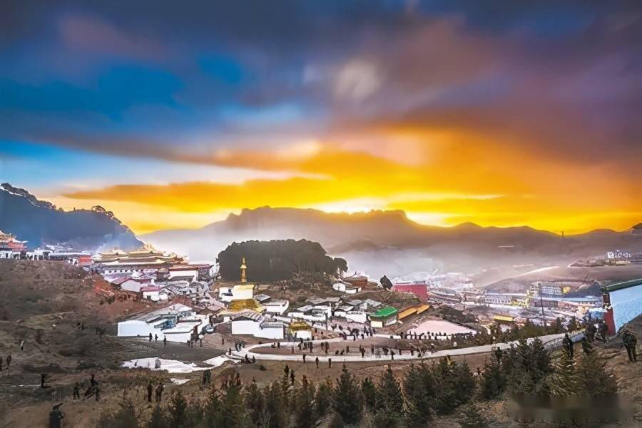 你为什么喜欢去甘南.