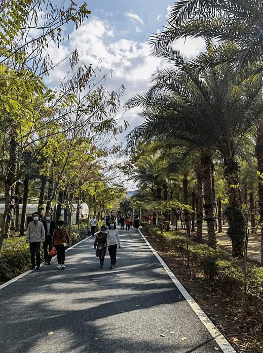 五一假期惠阳永湖生态旅游人气旺