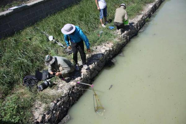 团队|遥感技术助力黑臭水体整治丨观天测地