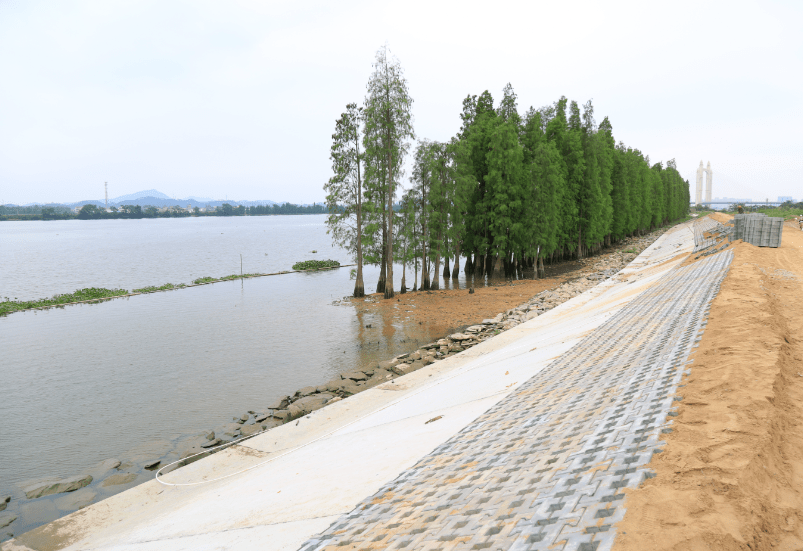 水口这个片区打造开平东部城市新中心